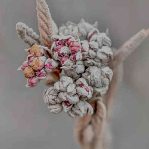 پوریا سازنده زندونیم زیر حکمم زندونیه نا امیدم زندونیم ای خدا